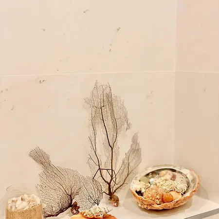 דירה Palm